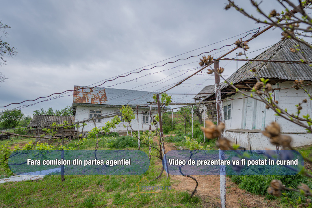 🏡 Casă din chirpici, bucătărie de vară și 1.34 ha de teren, Ardeoani