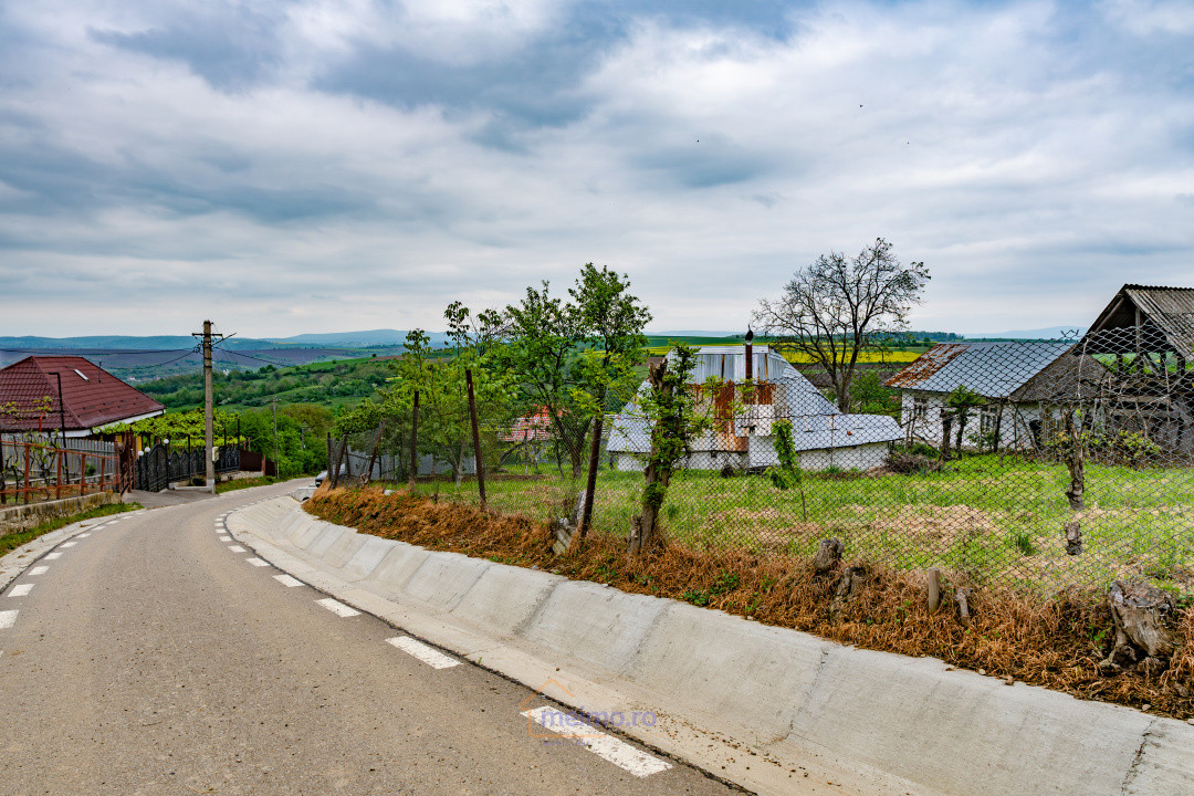 🏡 Casă din chirpici, bucătărie de vară și 1.34 ha de teren, Ardeoani