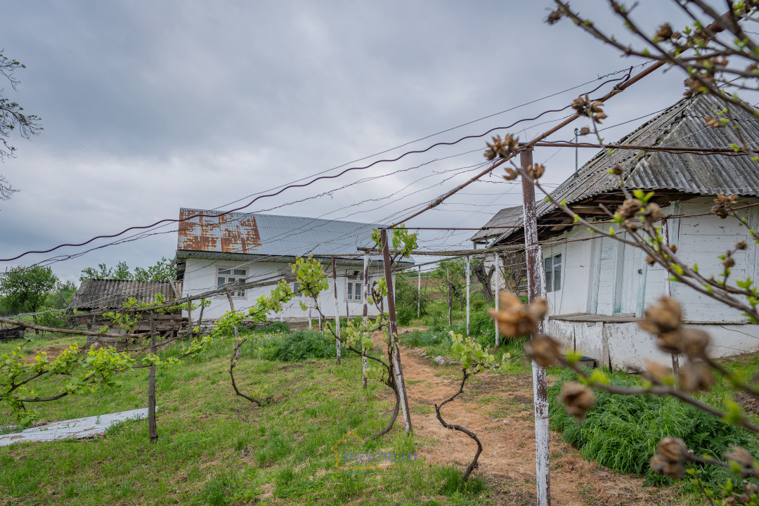 🏡 Casă din chirpici, bucătărie de vară și 1.34 ha de teren, Ardeoani