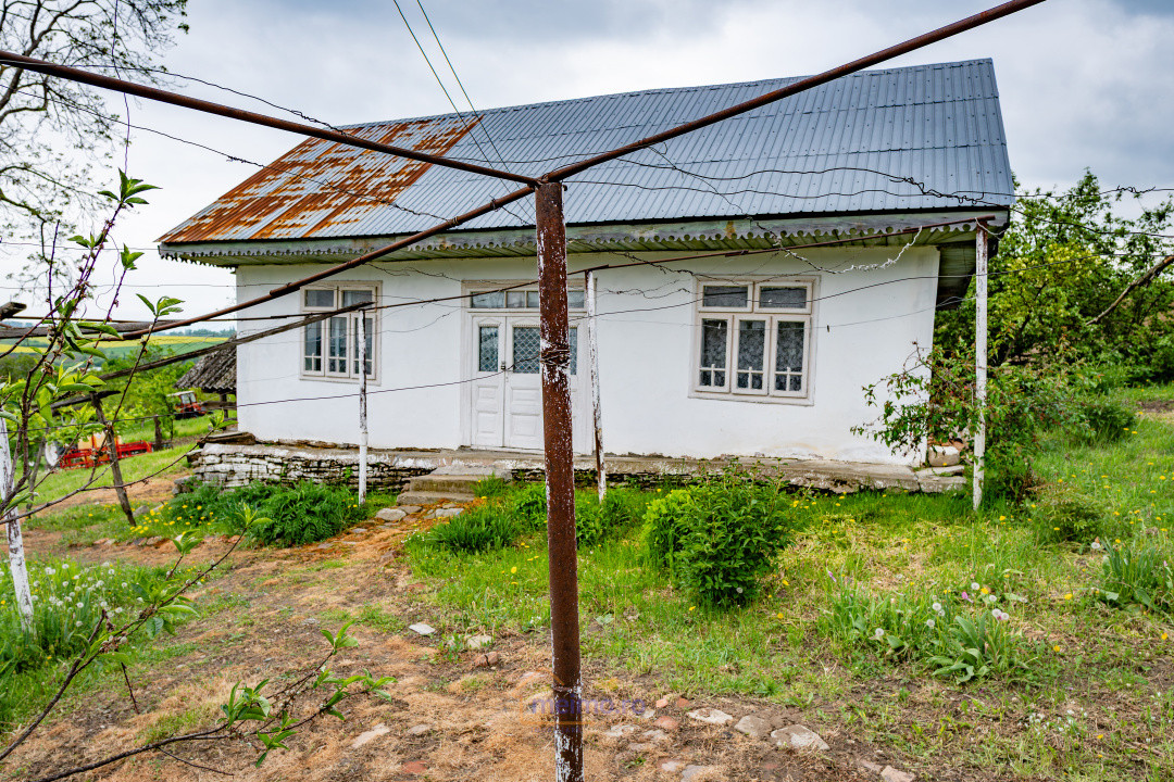 🏡 Casă din chirpici, bucătărie de vară și 1.34 ha de teren, Ardeoani