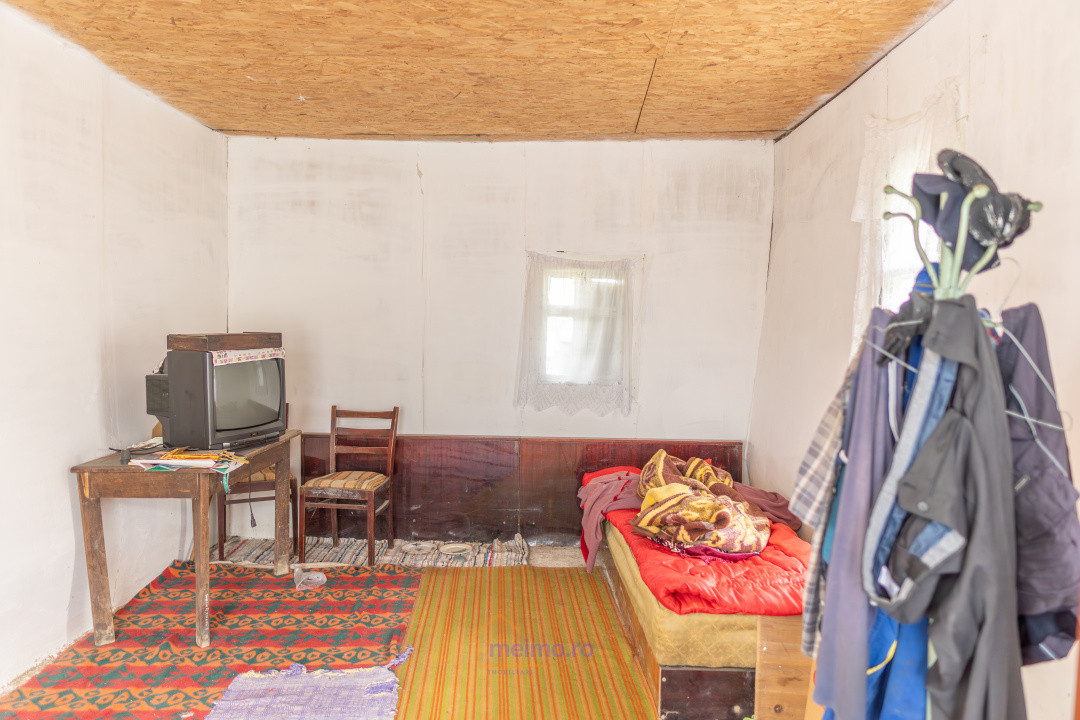 🏡 Casă din chirpici, bucătărie de vară și 1.34 ha de teren, Ardeoani