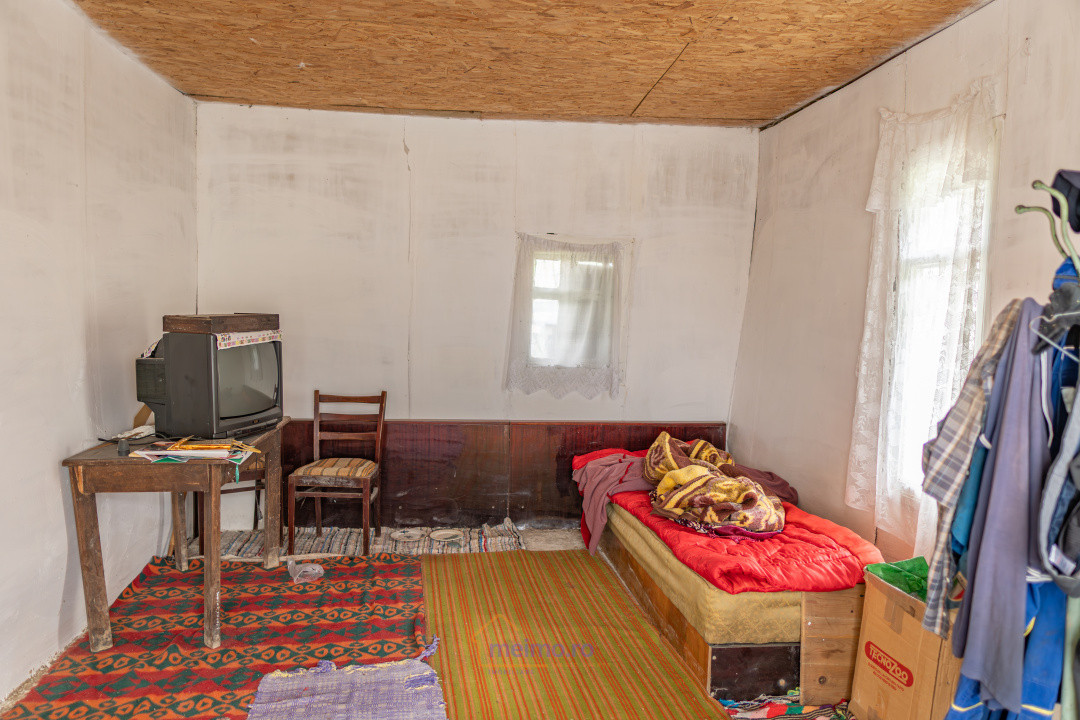 🏡 Casă din chirpici, bucătărie de vară și 1.34 ha de teren, Ardeoani