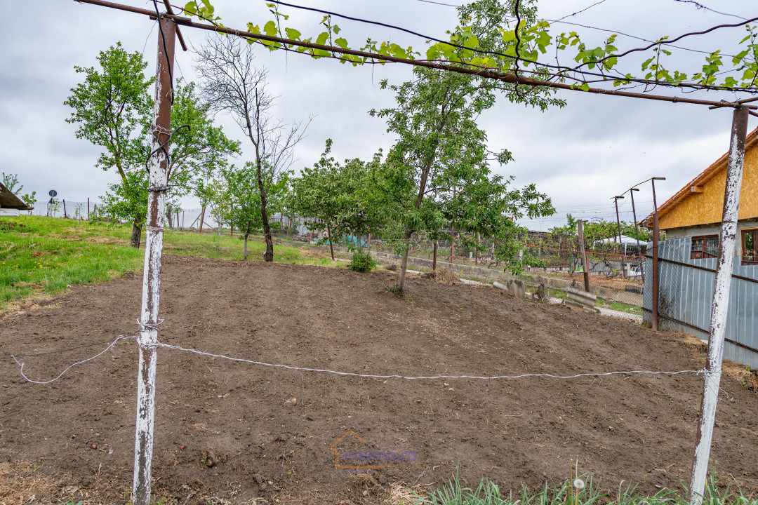 🏡 Casă din chirpici, bucătărie de vară și 1.34 ha de teren, Ardeoani