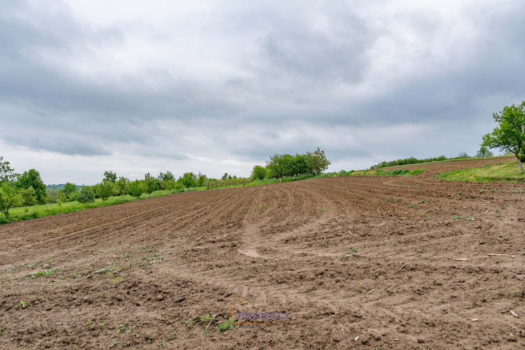 🏡 Casă din chirpici, bucătărie de vară și 1.34 ha de teren, Ardeoani