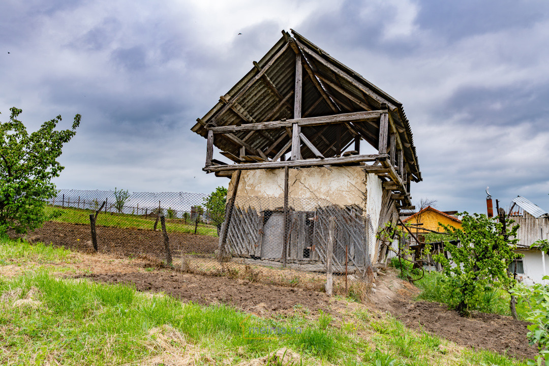 🏡 Casă din chirpici, bucătărie de vară și 1.34 ha de teren, Ardeoani