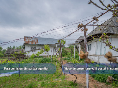 🏡 Casă din chirpici, bucătărie de vară și 1.34 ha de teren, Ardeoani