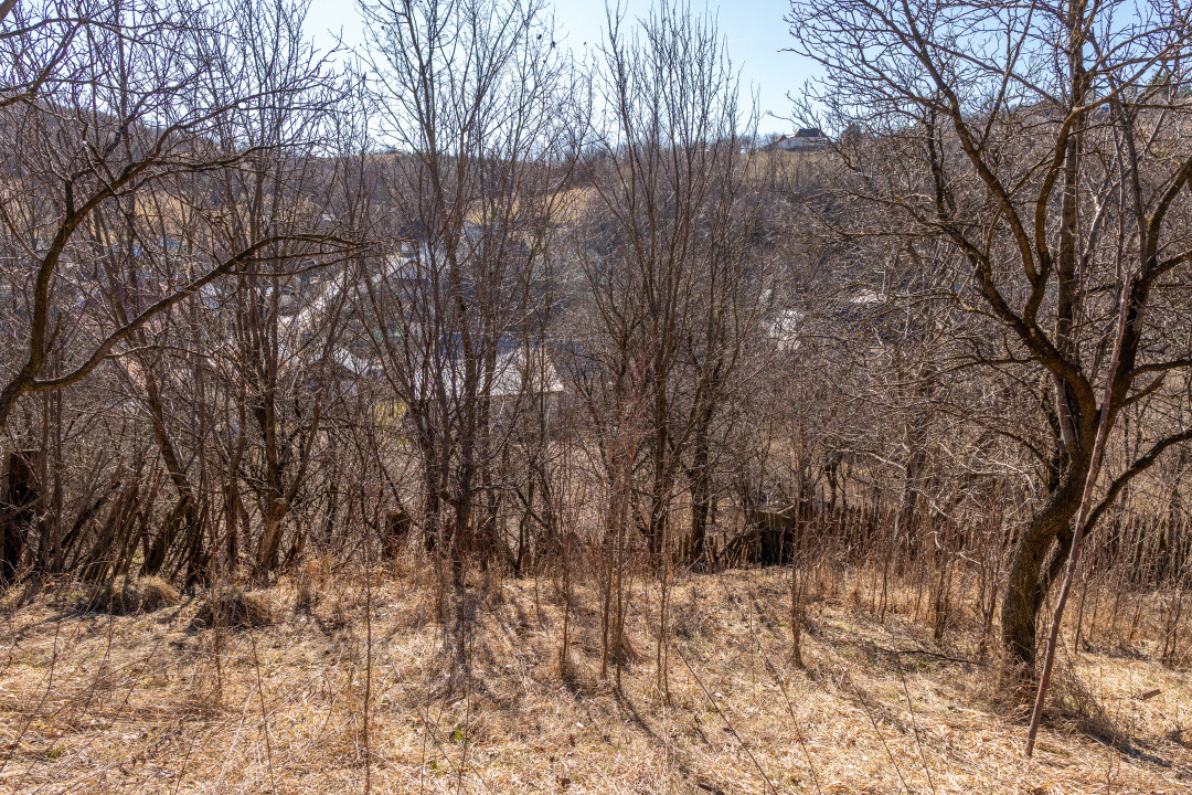 Ai plecat din Solont, dar terenul ăsta de 1737mp te cheamă înapoi