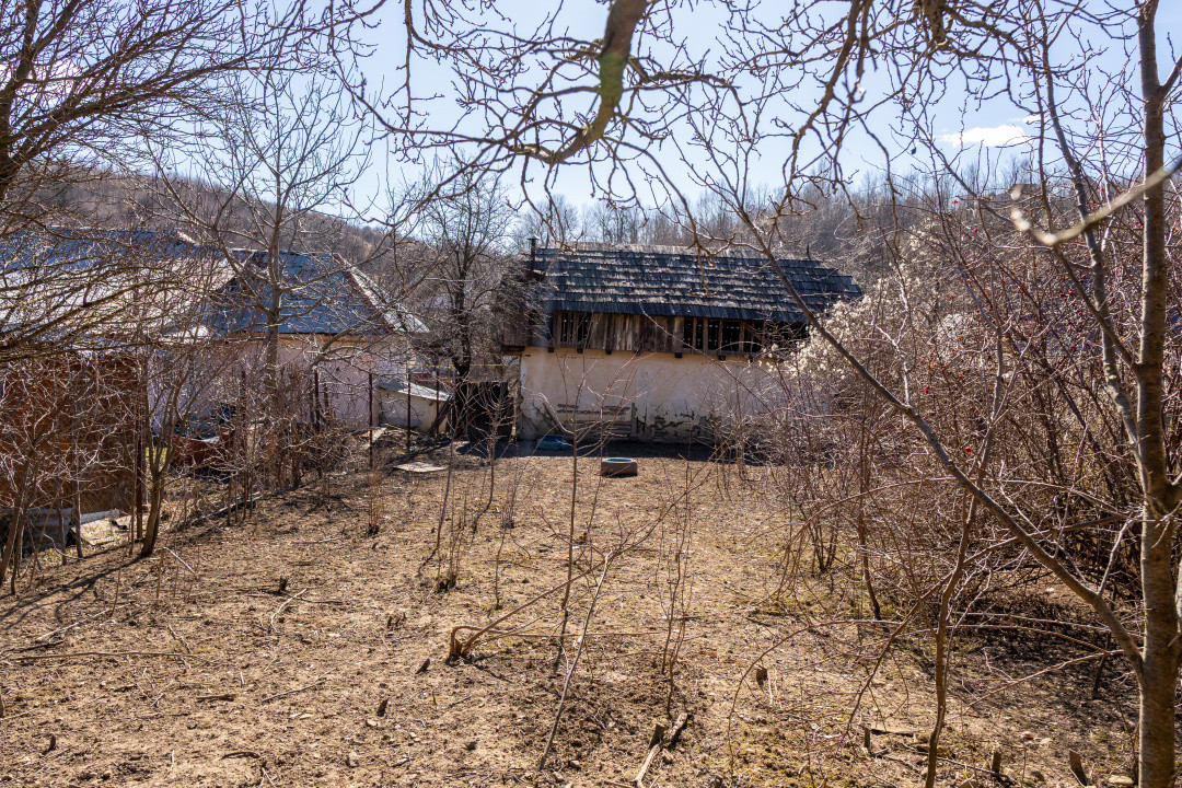 Ai plecat din Solont, dar terenul ăsta de 1737mp te cheamă înapoi