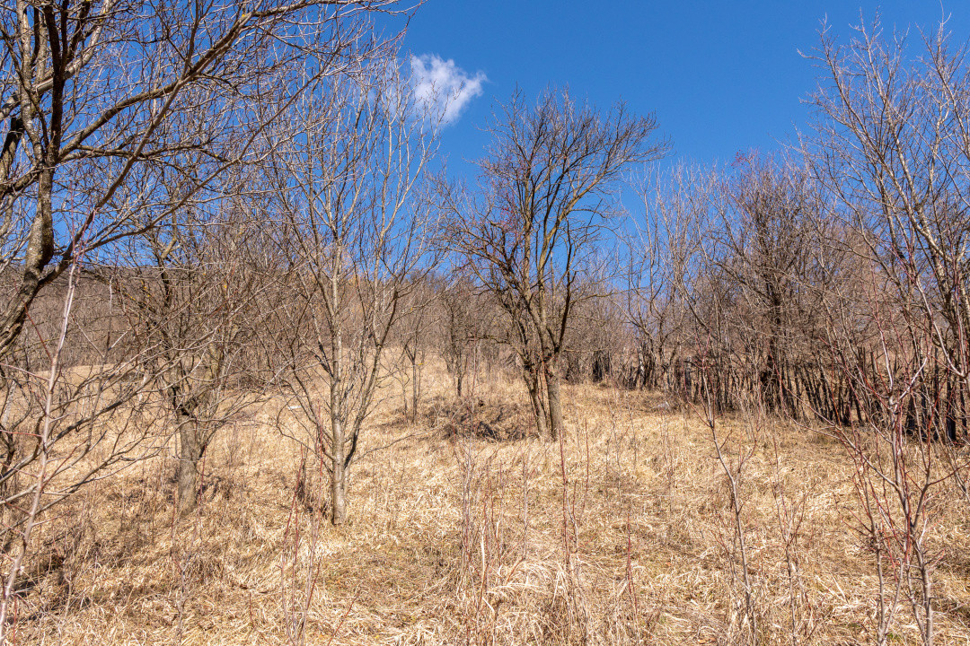 Ai plecat din Solont, dar terenul ăsta de 1737mp te cheamă înapoi