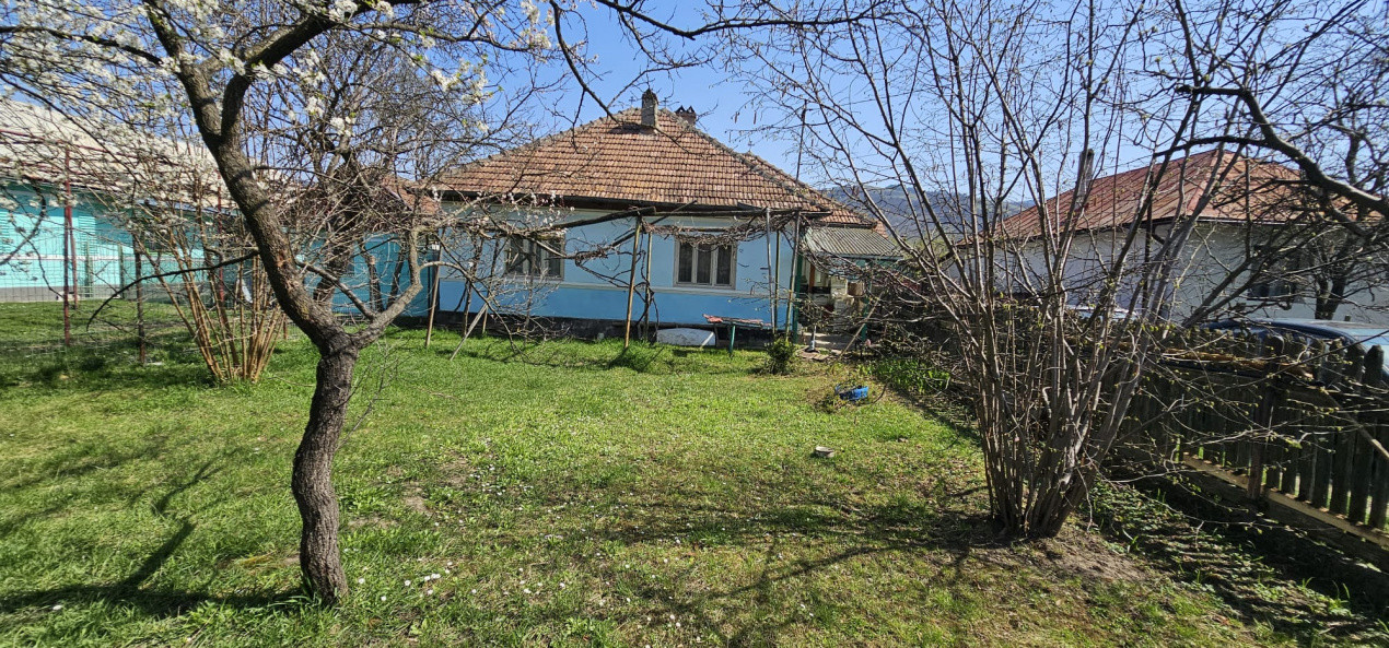 Casa de vanzare, Darmanesti - locul unde liniștea devine acasă