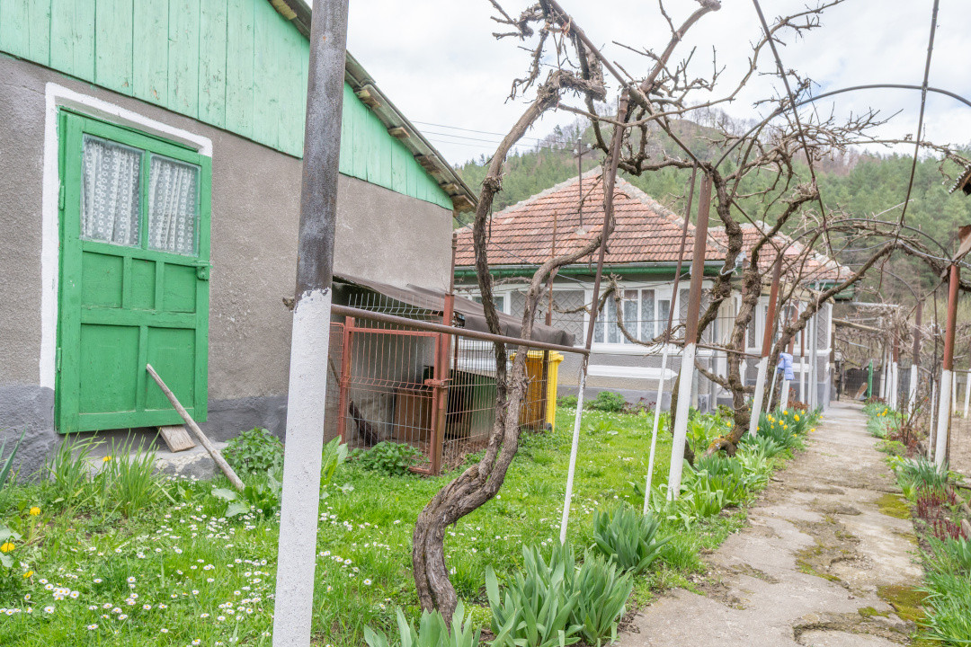 Acasă nu e un apartament. E pe Pietrosu nr. 8, în Zemeș.