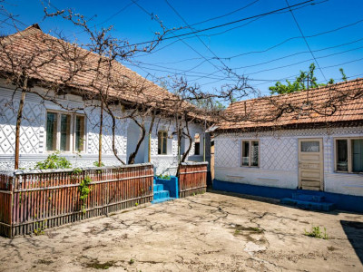 Remus Lăcătușu 58, Măgirești — pentru cei care au decis că vor curte