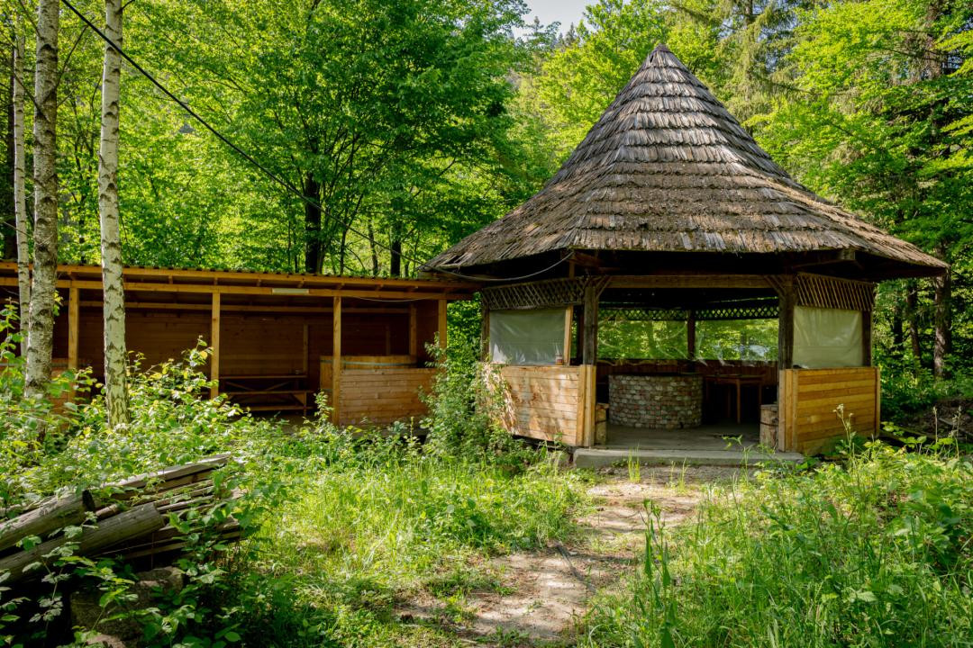 Cabană: afacere și vacanță în același loc | Camenca, Brusturoasa