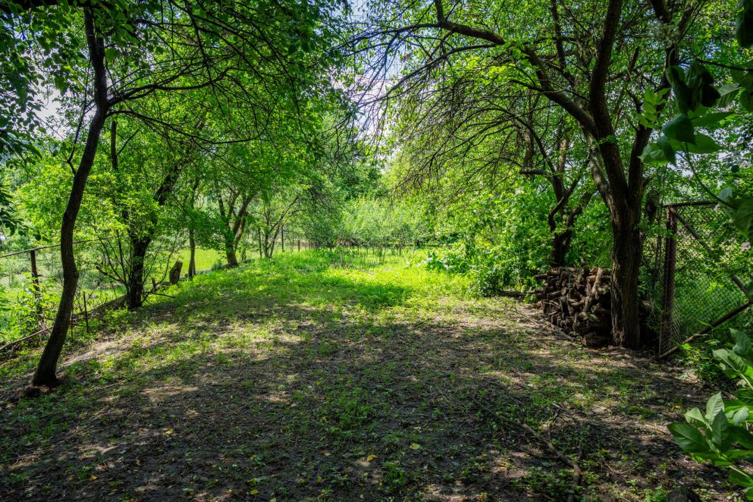 Casă locuibilă în Dărmănești — 50.000 €