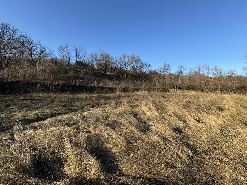 4.000 mp intravilan în Moinești pentru dezvoltare rezidențială P+2