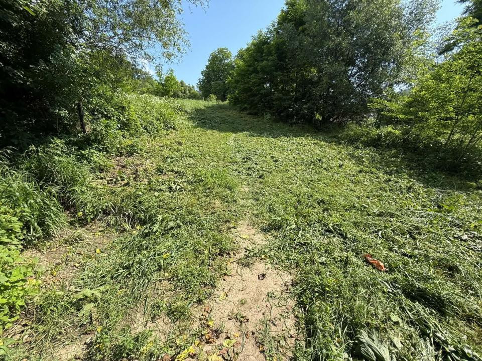 4.000 mp intravilan în Moinești pentru dezvoltare rezidențială P+2