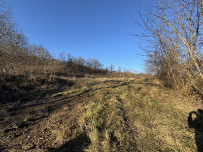 4.000 mp intravilan în Moinești pentru dezvoltare rezidențială P+2