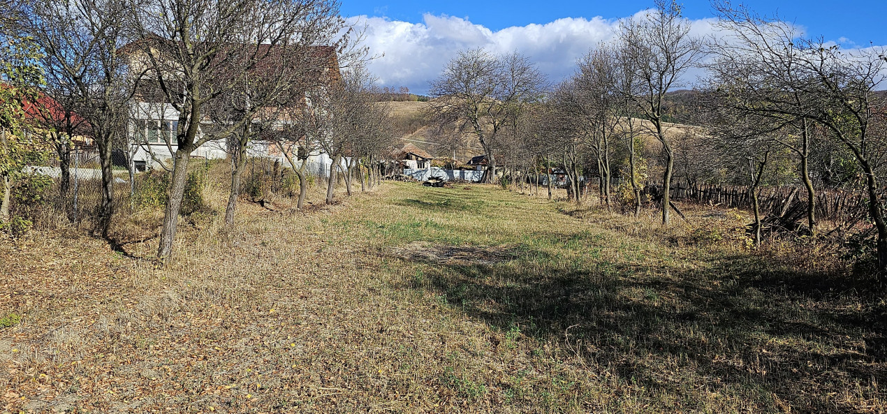 Casa cu 4 camere, teren 1708.30 mp intravilan, zona Vermesti! 