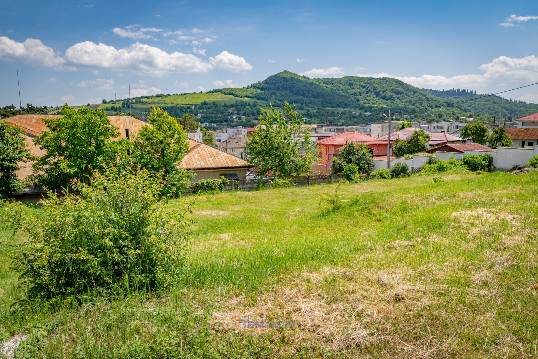 Casa sau afacerea ta, in spatele Tribunalului din Moinesti