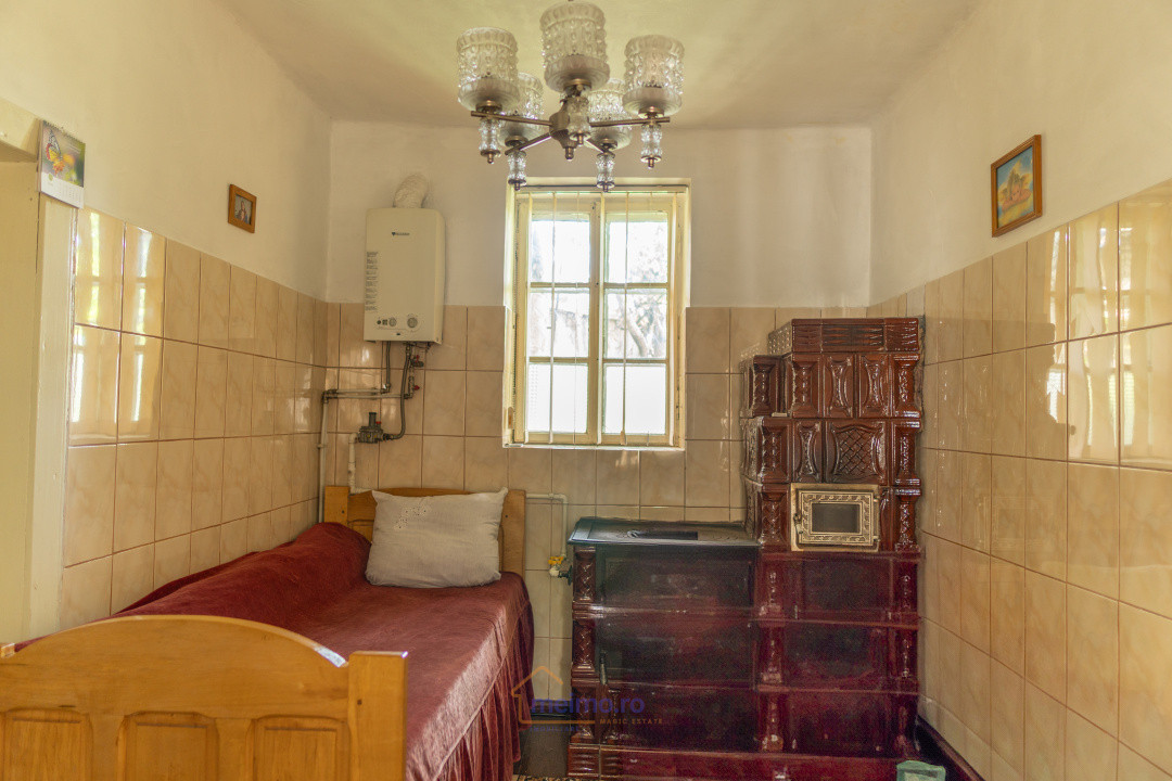 Gospodărie spațioasă, după bariera Văsiești – Al. Ioan Cuza nr. 11