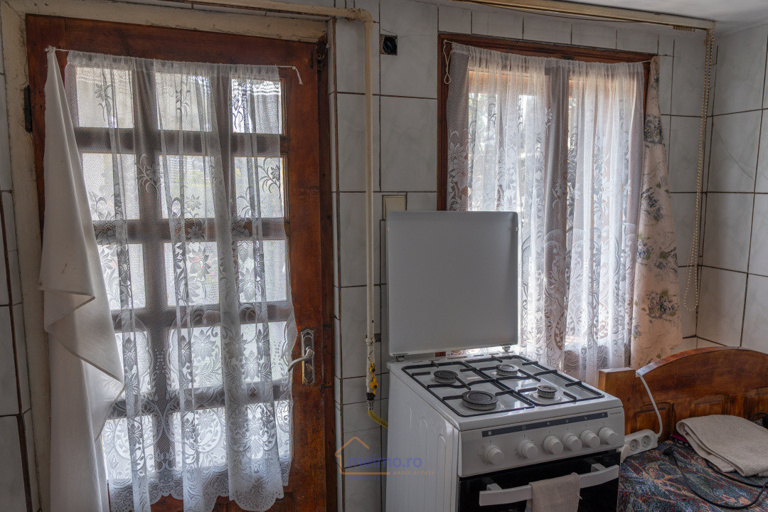 Gospodărie spațioasă, după bariera Văsiești – Al. Ioan Cuza nr. 11