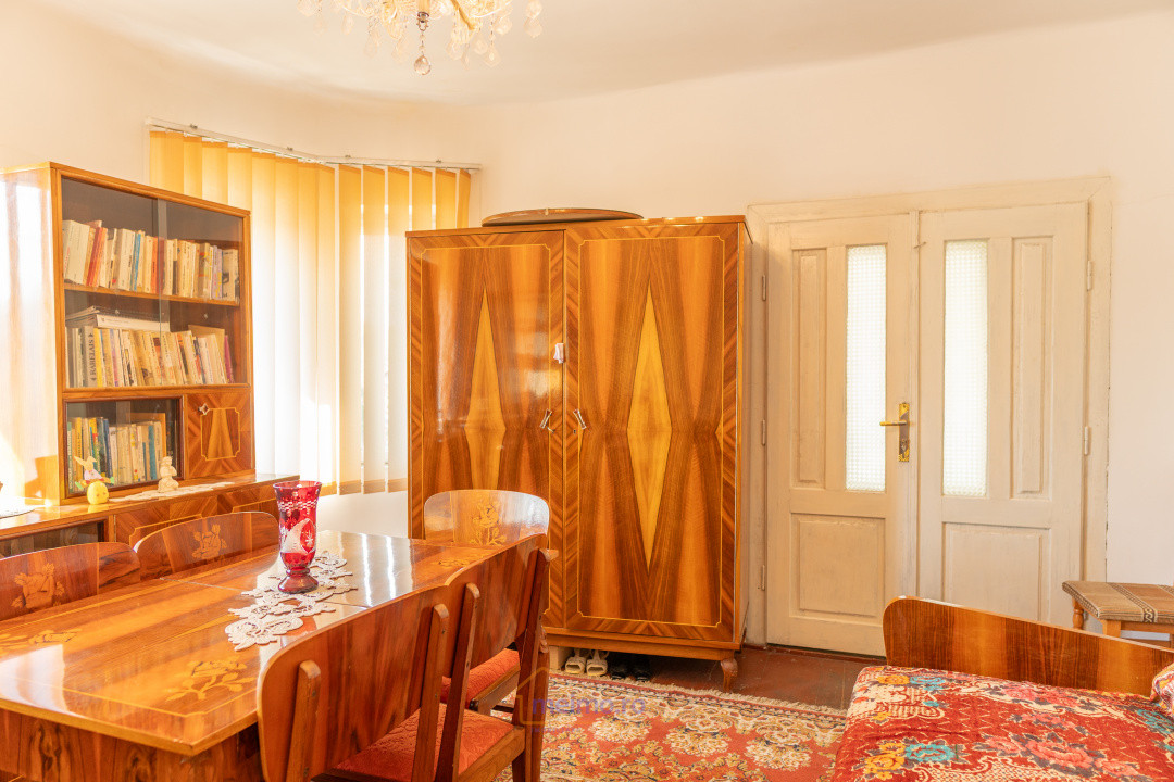Gospodărie spațioasă, după bariera Văsiești – Al. Ioan Cuza nr. 11