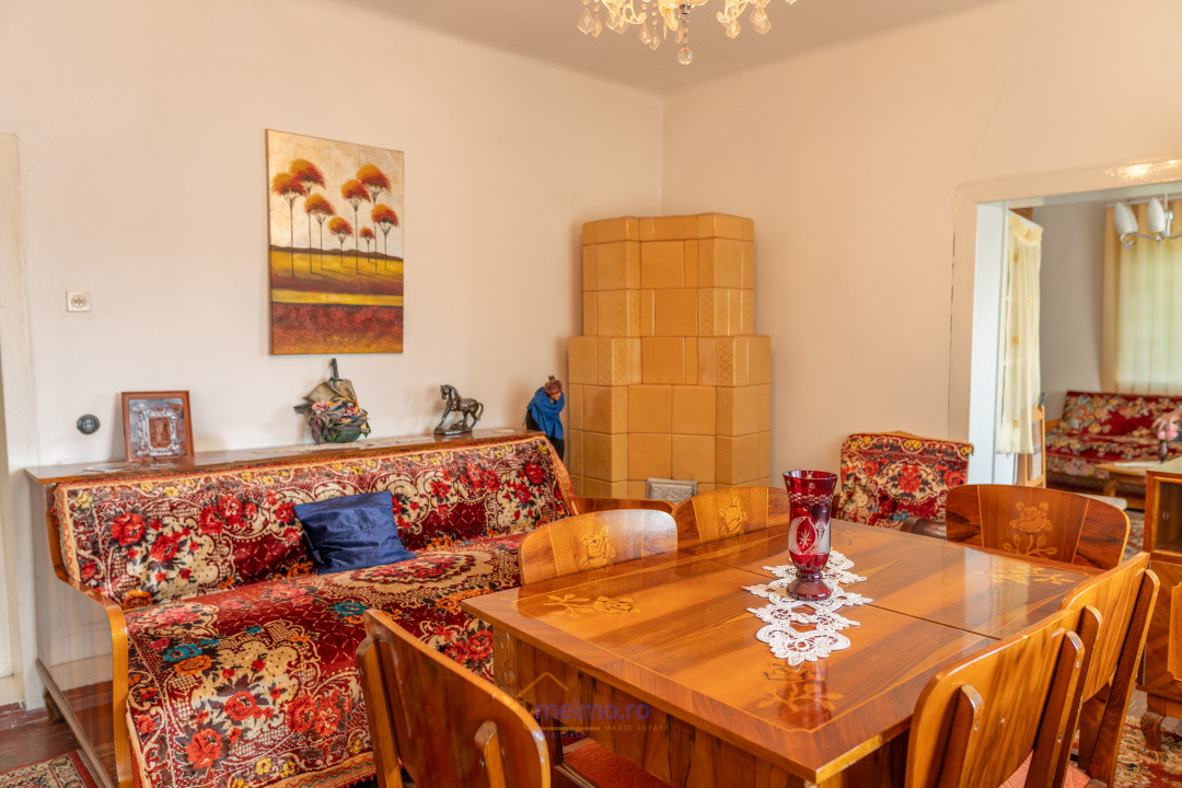 Gospodărie spațioasă, după bariera Văsiești – Al. Ioan Cuza nr. 11