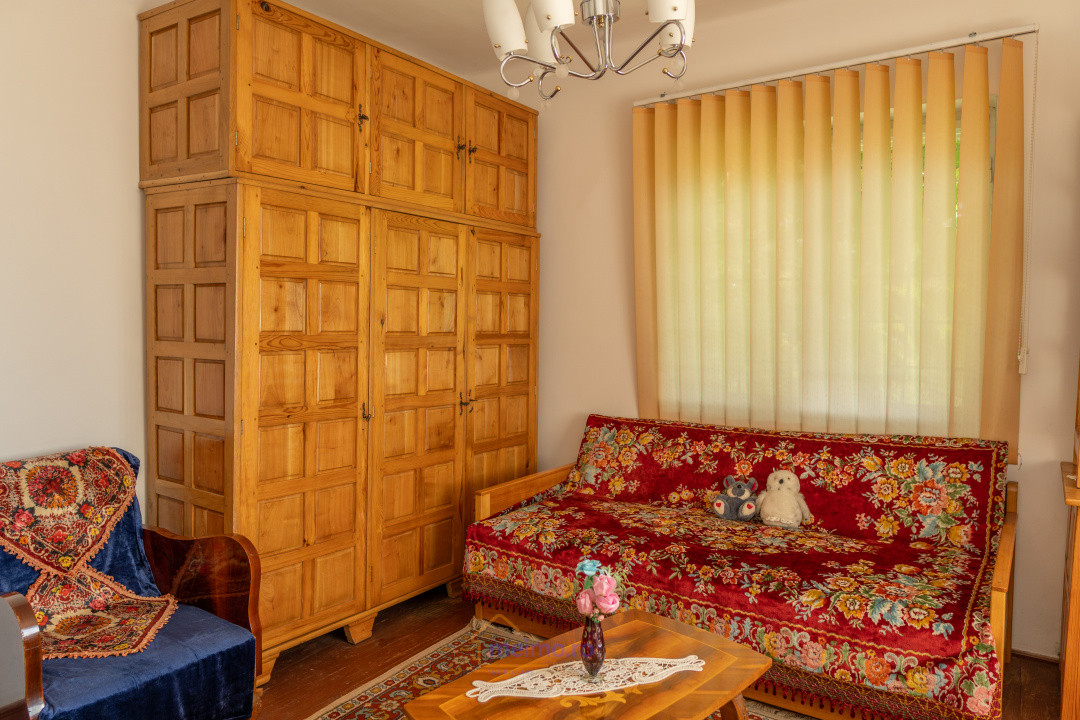 Gospodărie spațioasă, după bariera Văsiești – Al. Ioan Cuza nr. 11
