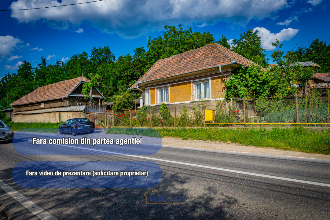 Gospodărie spațioasă, după bariera Văsiești – Al. Ioan Cuza nr. 11