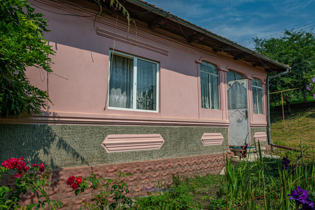 O casă, un teren, mai multe opțiuni – Comănești, Str. Moldovei