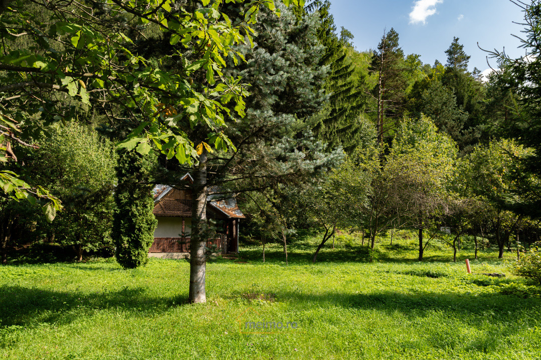Familia ta merită casa asta – Vezi de ce e unică!