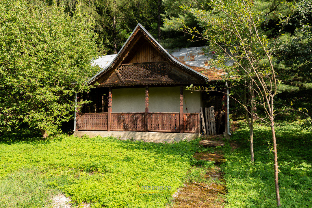 Familia ta merită casa asta – Vezi de ce e unică!