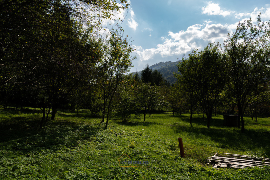 Familia ta merită casa asta – Vezi de ce e unică!