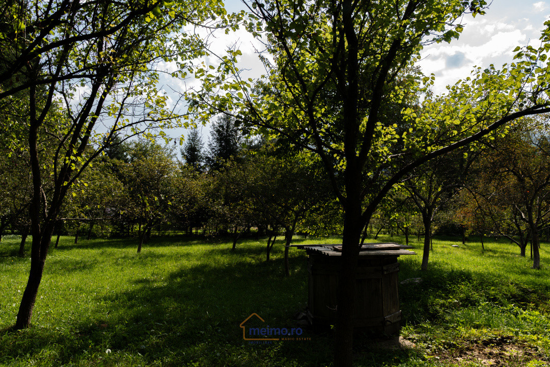 Familia ta merită casa asta – Vezi de ce e unică!