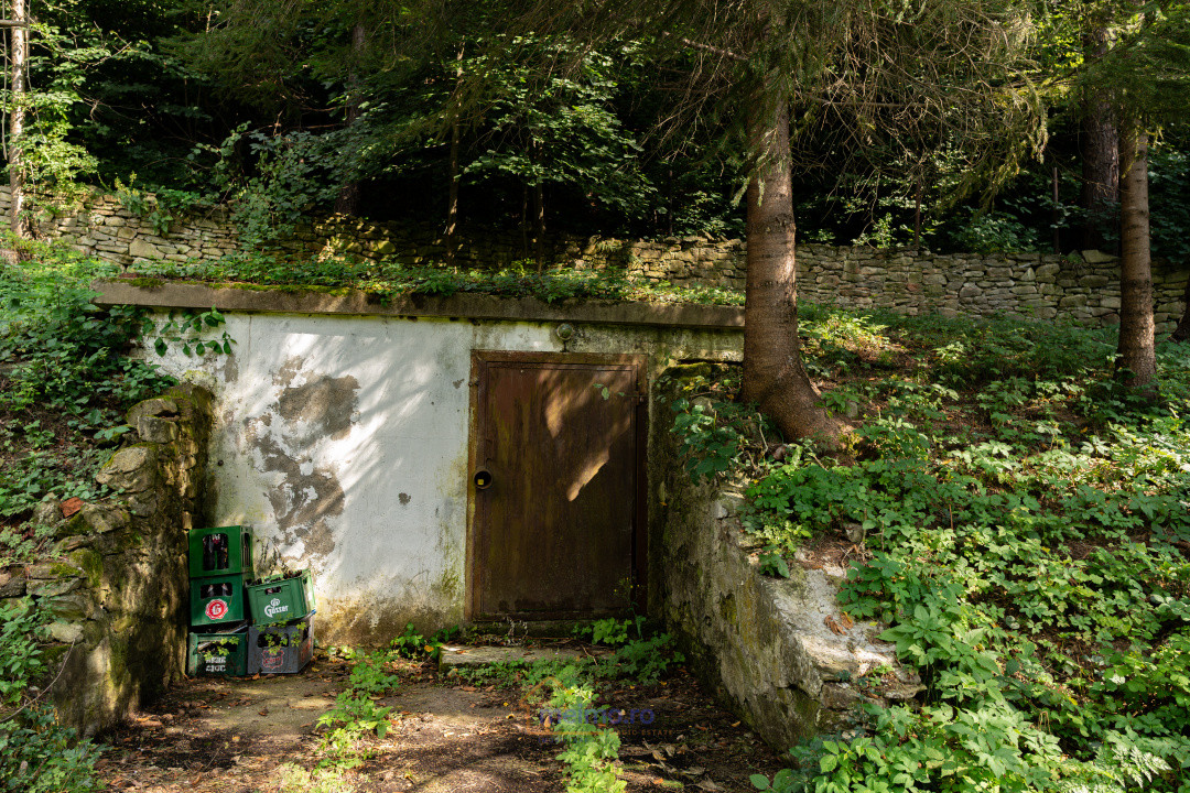 Familia ta merită casa asta – Vezi de ce e unică!