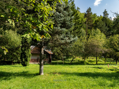 Familia ta merită casa asta – Vezi de ce e unică!