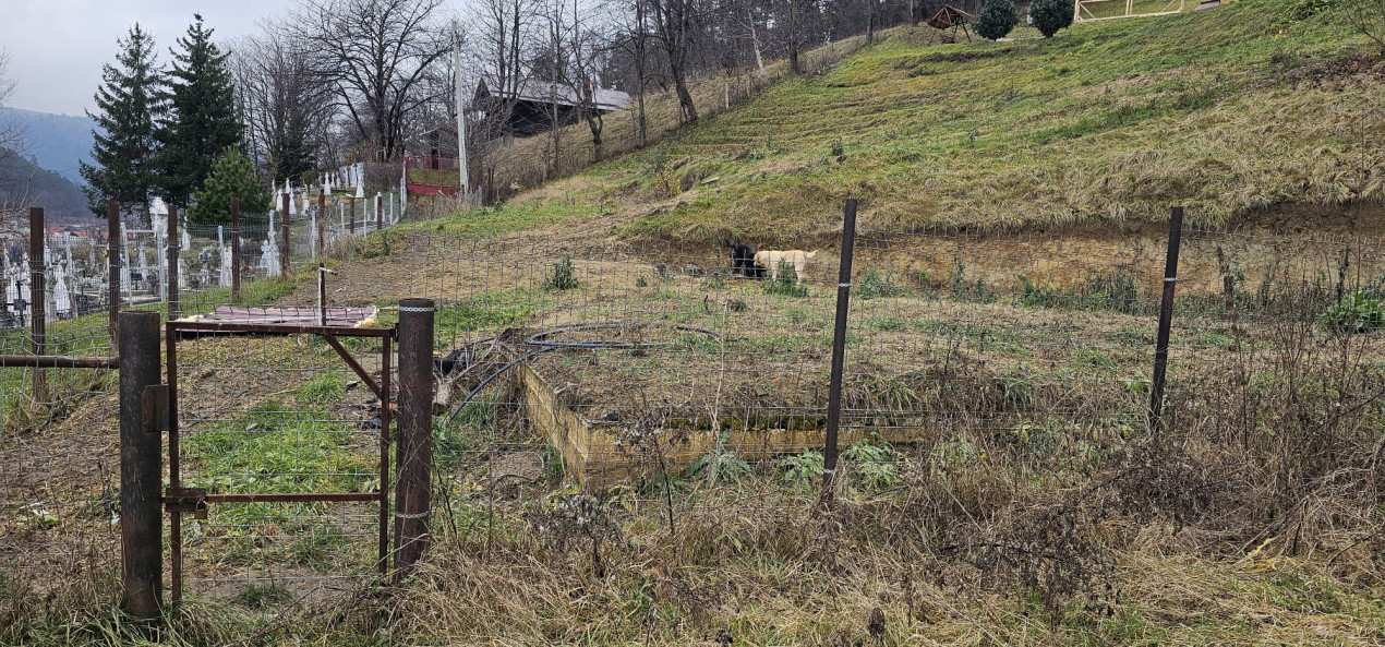 Teren construibil Intravilan de vanzare!