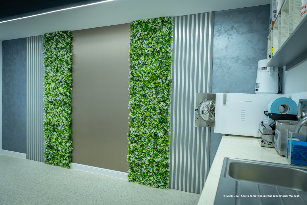 Spațiu premium: stomatologie sau beauty